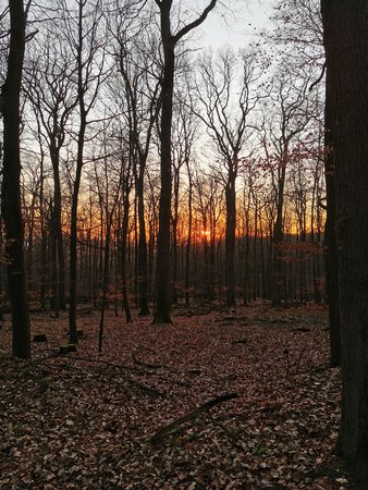 IMG_20200116_164254.jpg