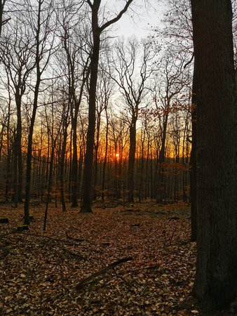 IMG_20200116_164316.jpg