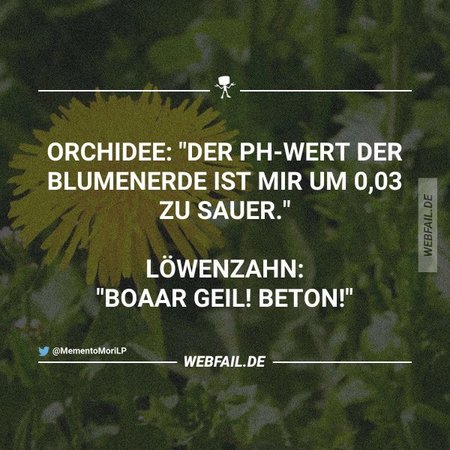 post2 (13).jpg