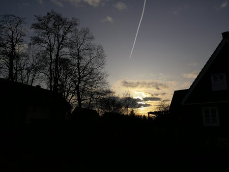 IMG_20200126_160954.jpg