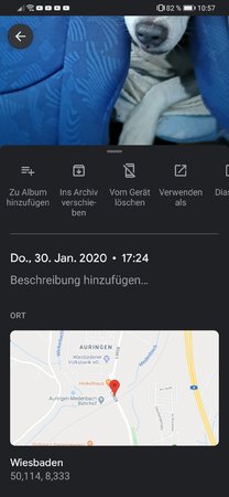 Screenshot_20200131_105702_com.google.android.apps.photos.jpg