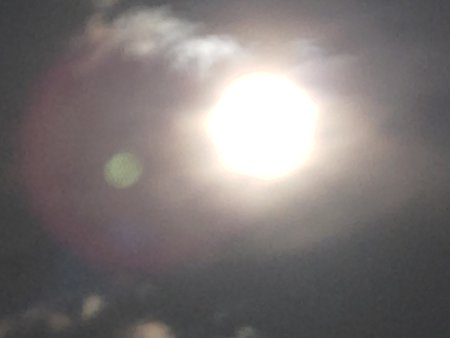 IMG20200208195209.jpg