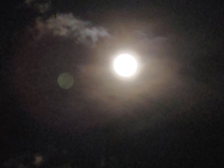 IMG20200208195218.jpg