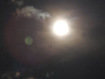 IMG20200208195226.jpg