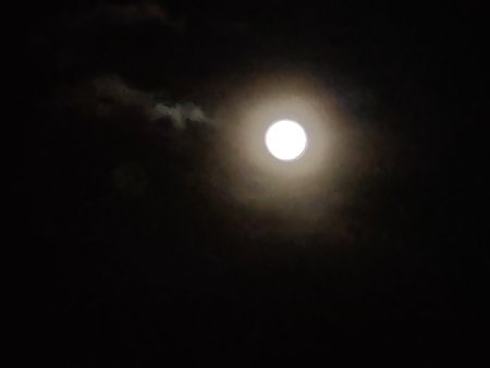 IMG20200208195249.jpg