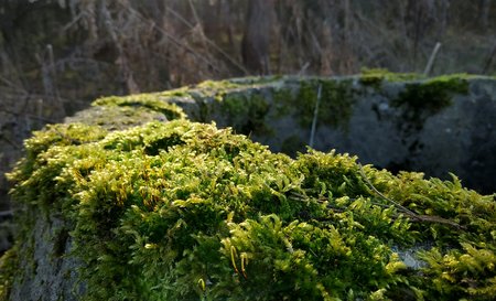 IMG_20200208_150918_1.jpg