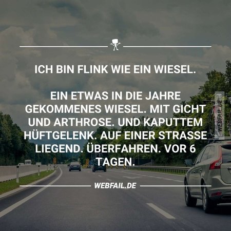 wiesel.jpg