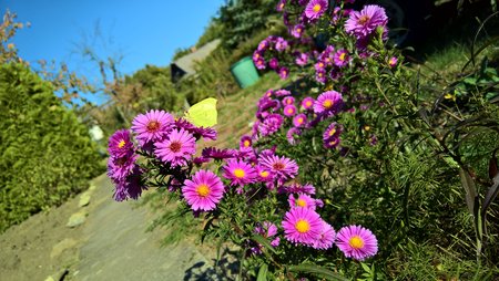 WP_20181005_14_16_09_Pro.jpg