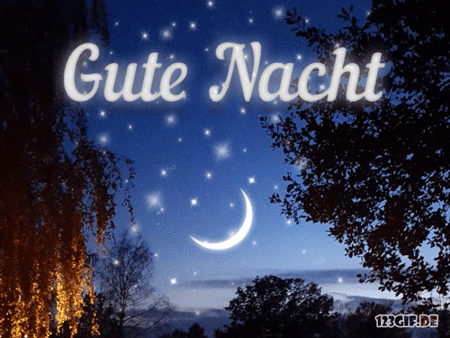 gute-nacht-0021.gif