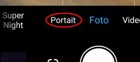 portrait.jpg