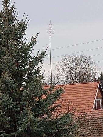 DSC_0019.JPG