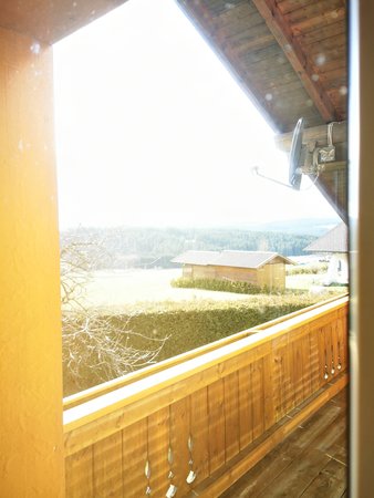 IMG_20200216_140738.jpg