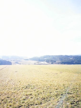 IMG_20200215_115935.jpg