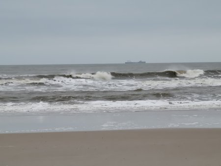 IMG_20200130_163627.jpg