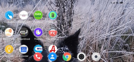 Screenshot_2020-02-17-10-00-57-388_com.miui.home.jpg