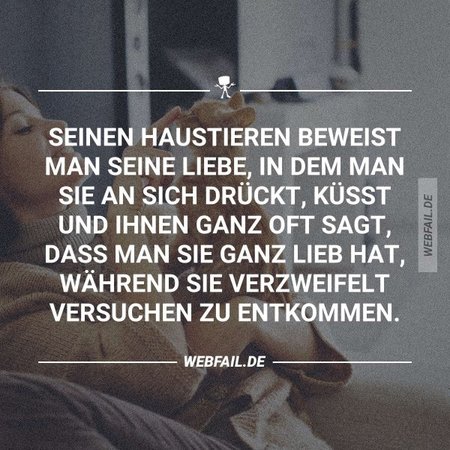 haustier.jpg