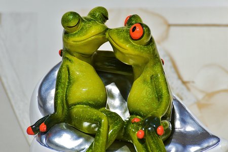 frogs-1280488_960_720.jpg