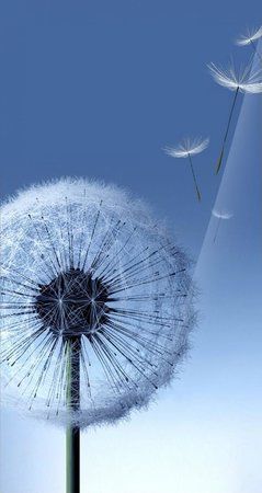 attachment.php (2).jpg