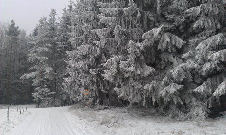 2012-01-29 12.54.41.jpg