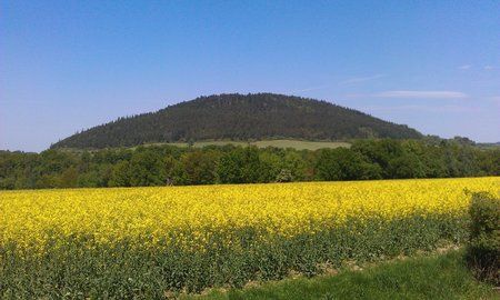 2012-05-20 13.59.43.jpg