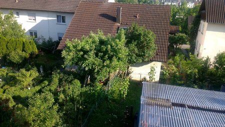 IMAG0016-1.jpg