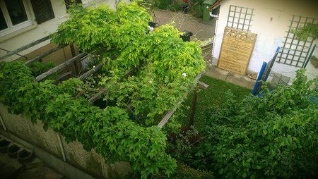 IMAG0017-1.jpg