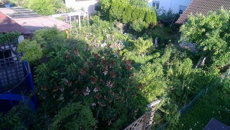 IMAG0015-1.jpg