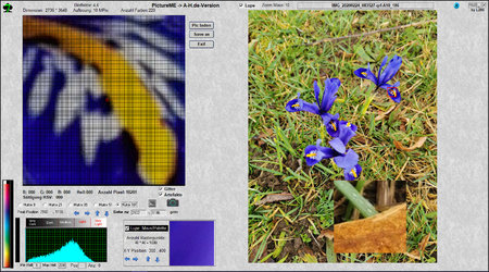 Blumen-Standard.jpg