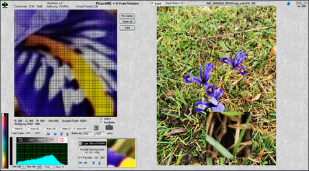 Blumen-Soft.jpg