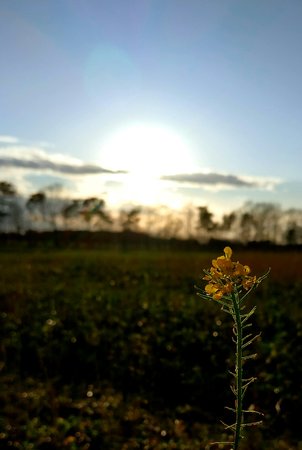 IMG_20200225_165224_1.jpg