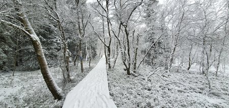 20200226_144419.jpg