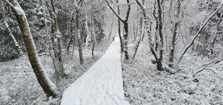 20200226_144409.jpg