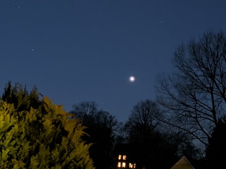 NEX_20200303_213637.jpg
