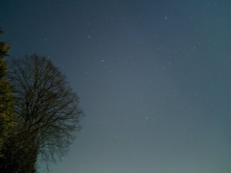 NEX_20200303_220227.jpg