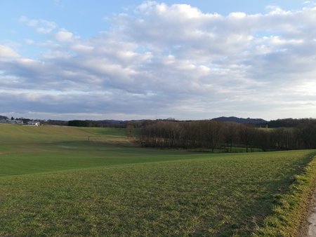 IMG_20200307_172315.jpg