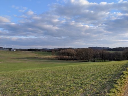 IMG_20200307_172247.jpg