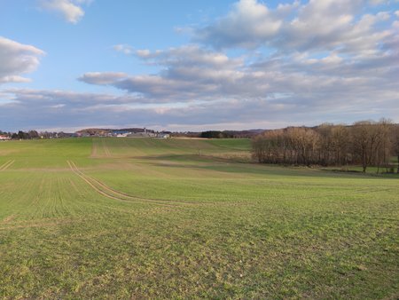 IMG_20200307_172614.jpg
