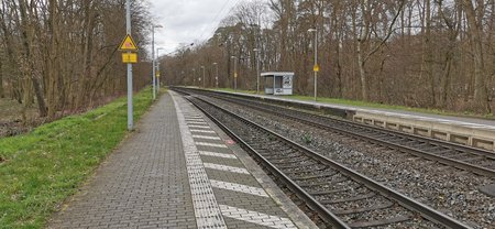 IMG_20200308_133827.jpg
