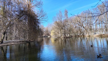 IMG_20200308_150109.jpg