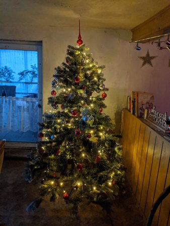 IMG_20200308_175145.jpg