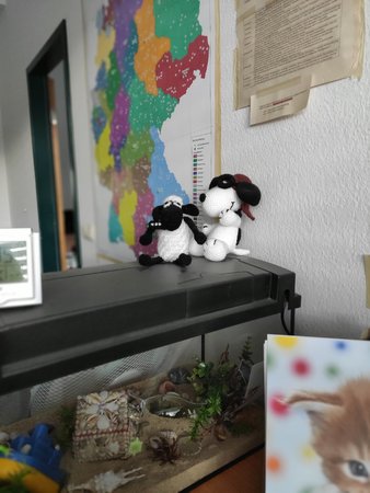 IMG_20200310_073403.jpg