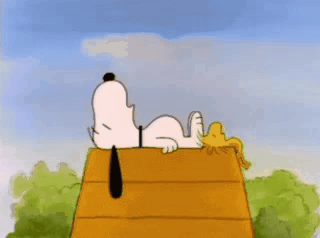 gifanime_2020.03.03_22.21.48.gif