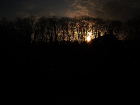 IMG_20200314_072619.jpg
