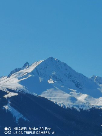 IMG_20200315_143656.jpg