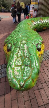 IMG_20200315_135302.jpg