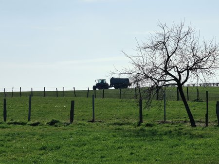IMG_20200317_121310.jpg