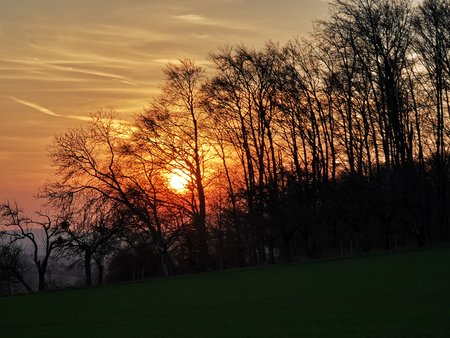 IMG_20200317_181625.jpg