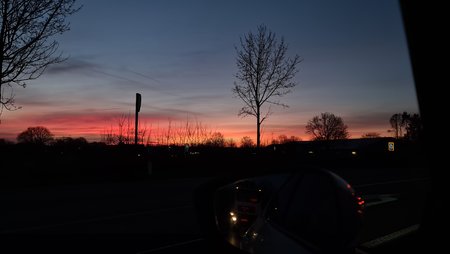 20200318_061835.jpg