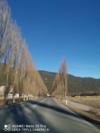 IMG_20190216_155200.jpg