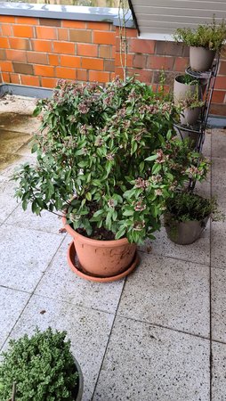 downloadfile-8.jpg